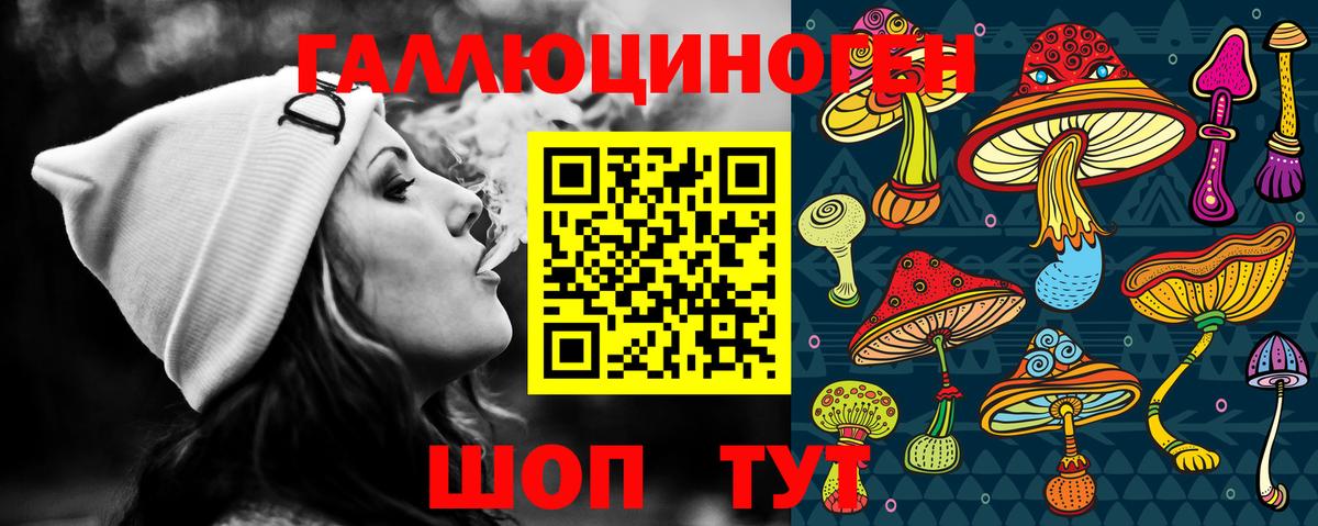 Псилоцибиновые грибы прущие грибы  Вход с VPN  Хасавюрт 