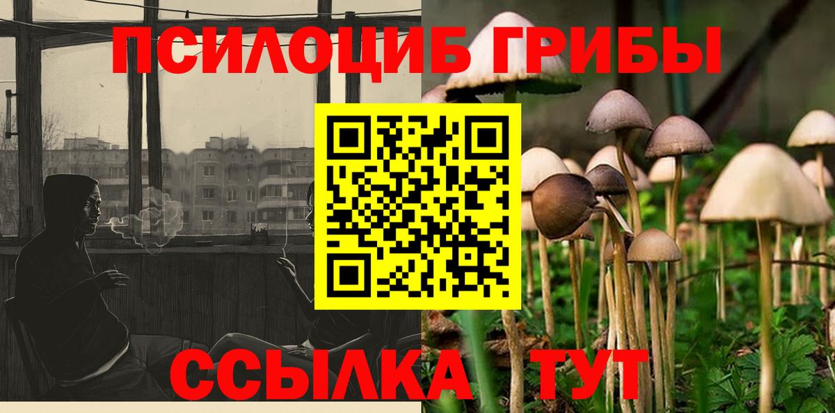 Галлюциногенные грибы MAGIC MUSHROOMS Хасавюрт
